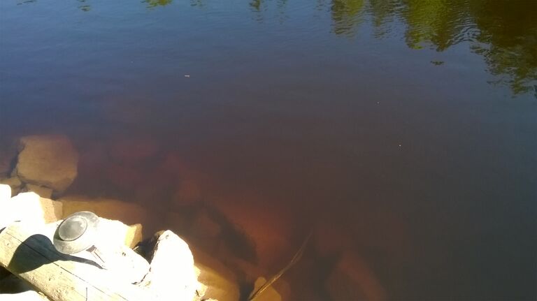 WP 20150706 10 30 58 Pro.jpg