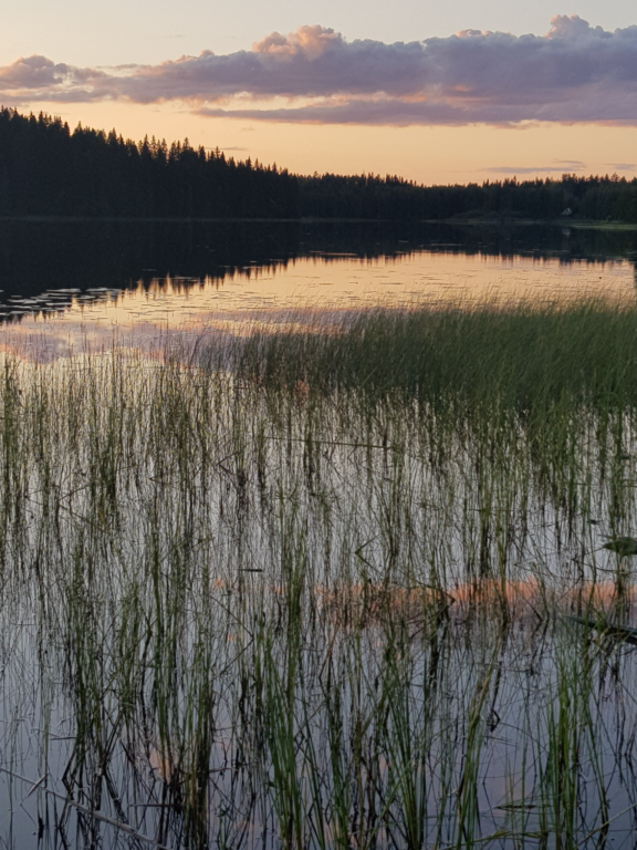 Ilmajärvi (14.174.1.022)-Pajuniemi-ObsIMG-202108181647-611d10085f872.png