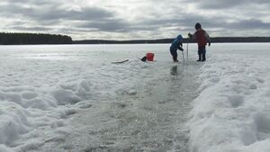 Jääleikkejä Luikonsaaressa.JPG