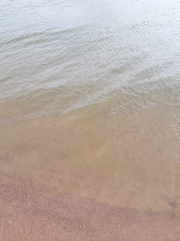 Köyliönjärvi (34.054.1.001)-Valtakunnallinen sinileväseuranta (Yttilän Otta)-ObsALG-202207270730-62e0bf85653db.png