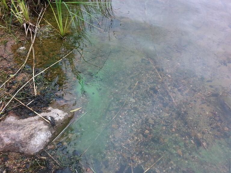 KurkelaSinileva20170712 132733.jpg