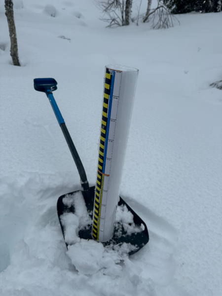 Tiedosto:Pallasjärven valuma-alue (65.652)-Havaintopaikka 4-ObsIMG-202603261123-69c4fc53a3bb7.png