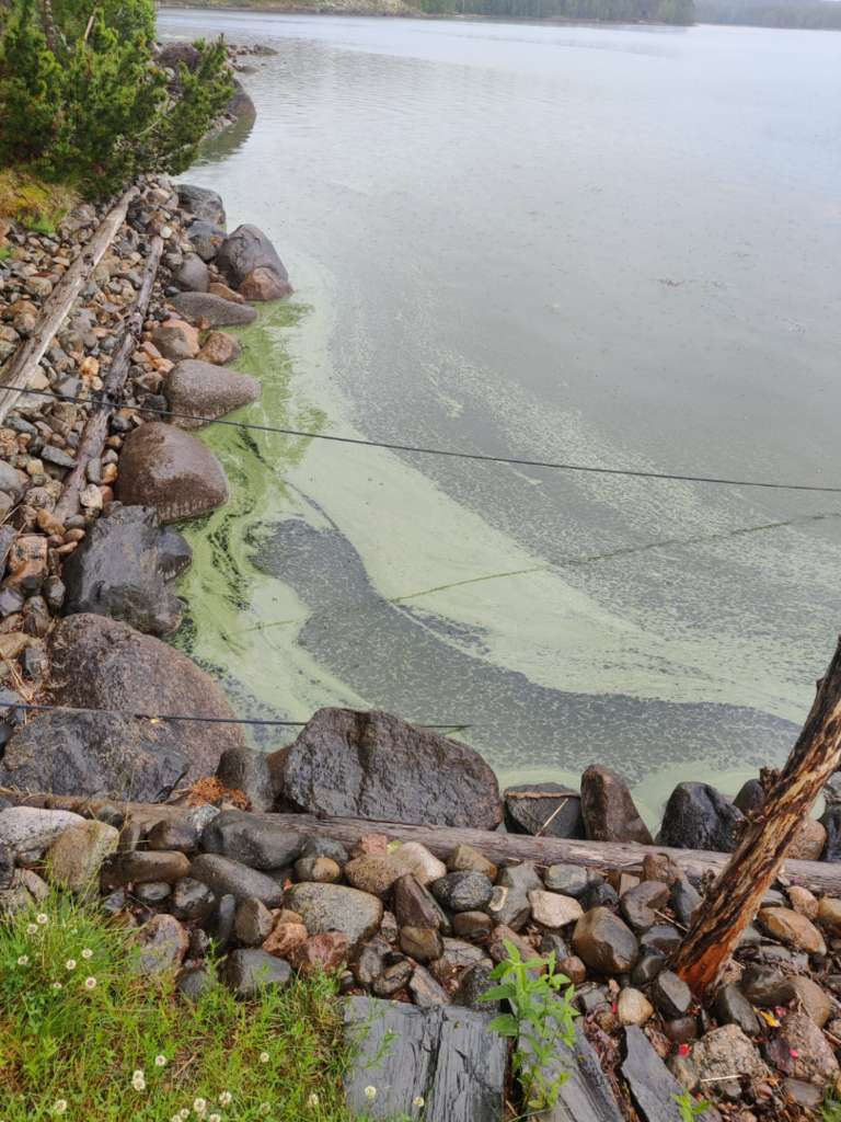 Saimaa (04.112.1.001)-Havaintopaikka 2-ObsIMG-202507030858-68661c7eedcf5.png