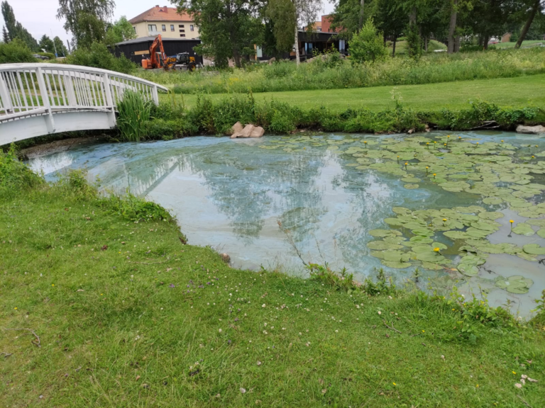 Pyhäjärvi (34.031.1.001)-Kunnan ranta-ObsALG-202106231407-60d31735716f6.png