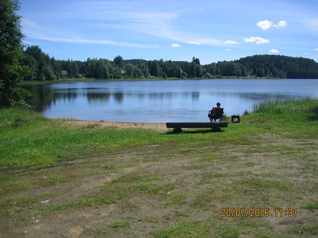 Sairialan ranta Suolijarvi Tuulos.JPG