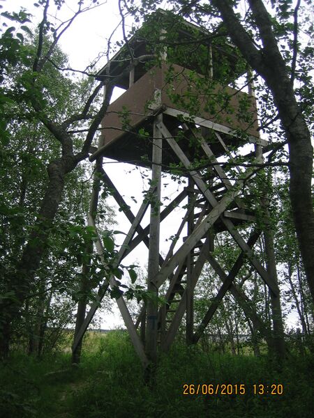 Tiedosto:Sautinkarin lintutorni.JPG