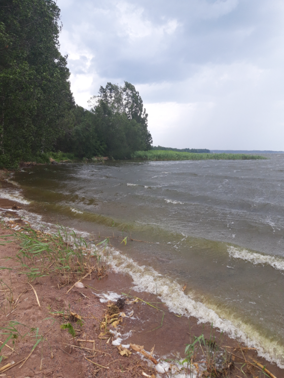 Köyliönjärvi (34.054.1.001)-Valtakunnallinen sinileväseuranta (Yttilän Otta)-ObsALG-202306271454-649aeea06dd42.png