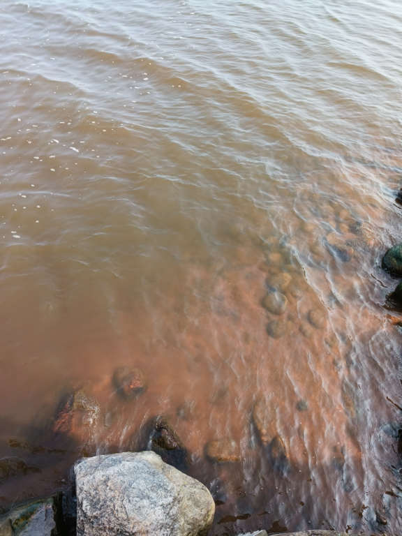 Köyliönjärvi (34.054.1.001)-Valtakunnallinen sinileväseuranta (Yttilän Otta)-ObsALG-202506040845-1749015996905.png