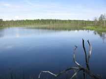 Etelärannalta pohjoiseen.