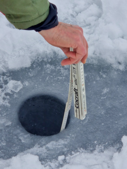 Sääksjärvi (23.097.1.002)-Sääksjärvi-ObsICE-202601251230-1769350486505.png