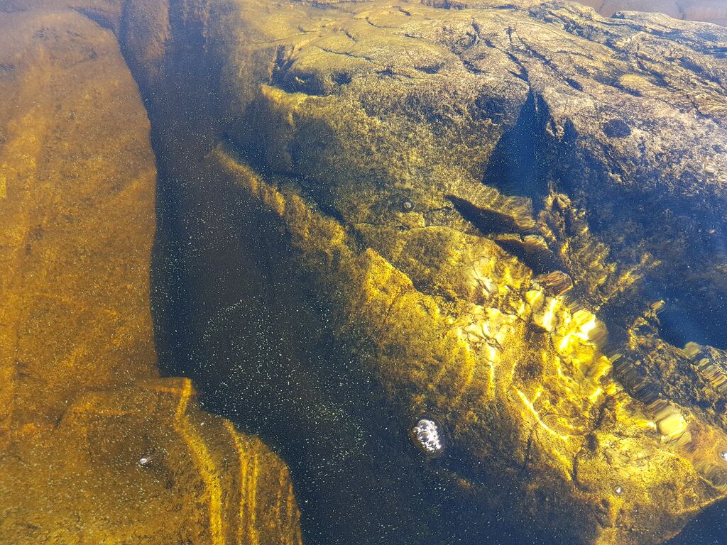 Saimaa (04.112.1.001)-Ilkonsaaret-ObsIMG-201807041136-13.jpg