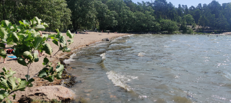 Tiedosto:Suvisaaristo-Lauttasaari-Karhusaaren uimaranta-ObsIMG-202106271153-60d83cc61f92b.png