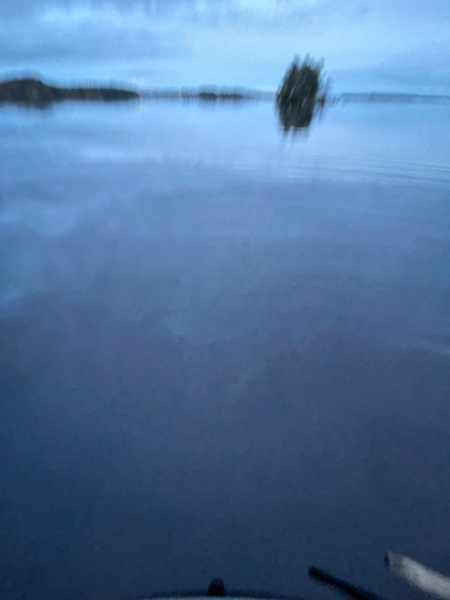 Tiedosto:Kallavesi (yhd.)-Pajuluoto, avovesi-ObsIMG-202310031851-651c39005844d.png