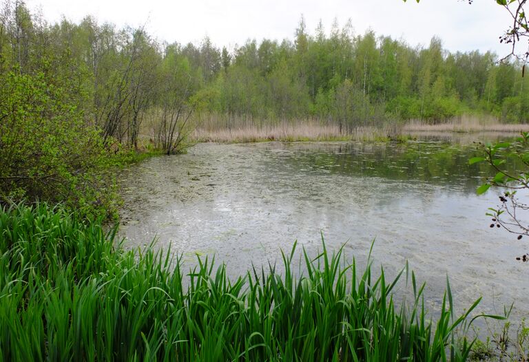 Kirkkojarvi Kuohunlahti.jpg