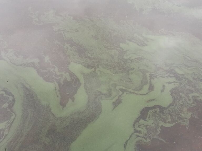 Lappajärvi (47.031.1.001)-Ylipää-ObsIMG-201807022100-93.jpg