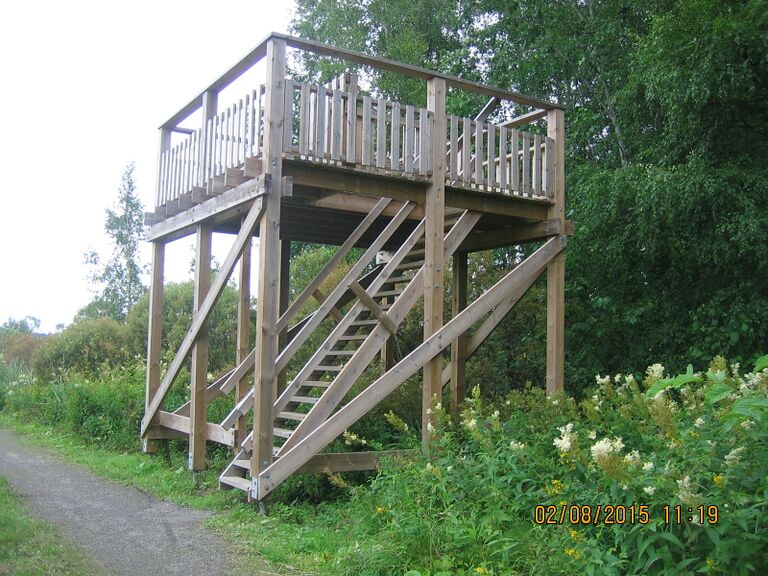 Nummelan lintutorni.JPG