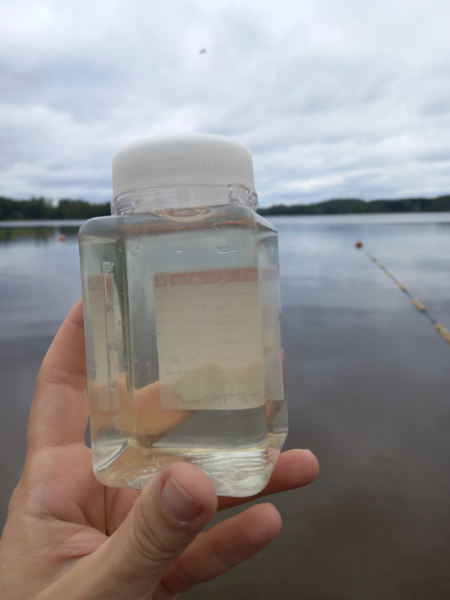 Tiedosto:Ukonvesi (Saimaa) (04.151.1.001)-Valtakunnallinen sinileväseuranta (Launialan uimaranta)-ObsIMG-202108241137-6124b034ca8c2.png