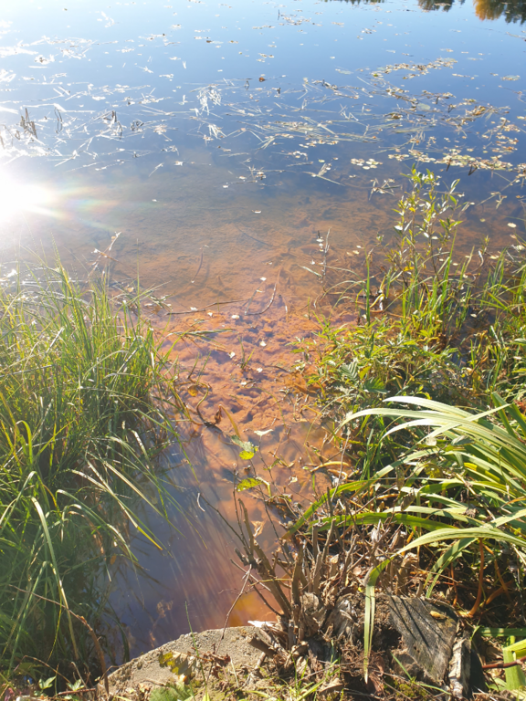 Urpolanlampi (04.152.1.001)-Uusi hulevesiputki-ObsIMG-202410041205-670373d3a9e09.png