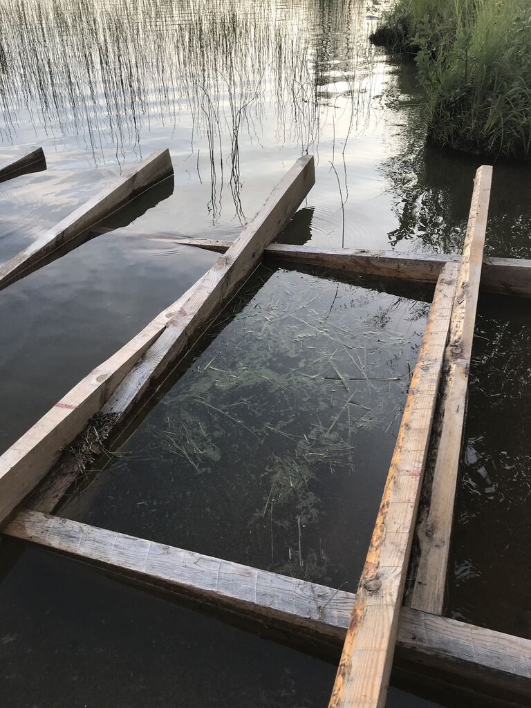 Yli-Kitka (73.025.1.001)-Ajakkalahti-ObsALG-201907232034-93.jpg