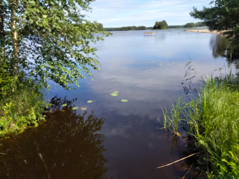 Evijärvi (47.021.1.001)-Sillankorvan leirintäalue-ObsIMG-202406251119-667ab32275c44.png