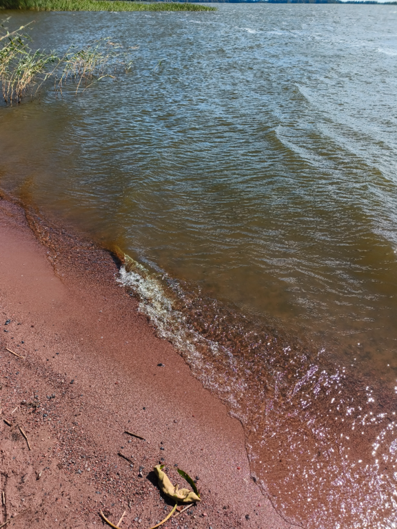 Köyliönjärvi (34.054.1.001)-Valtakunnallinen sinileväseuranta (Yttilän Otta)-ObsALG-202407301516-66a8d9e2e9446.png