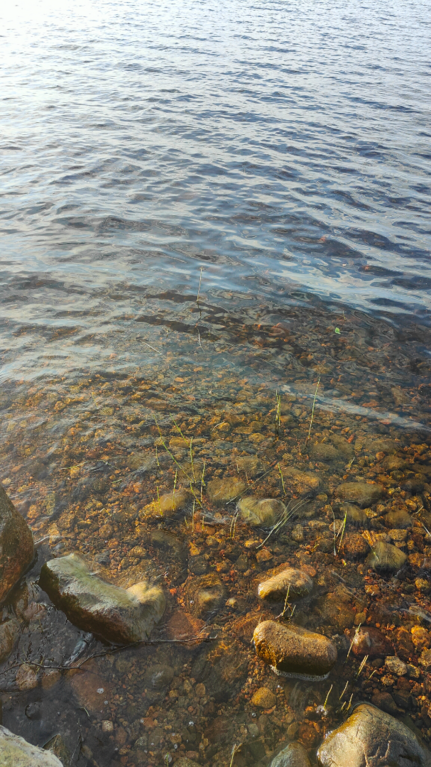 Pääjärvi (35.833.1.003)-Havaintopaikka 3-ObsALG-202507212018-687e76dc6f5cb.png