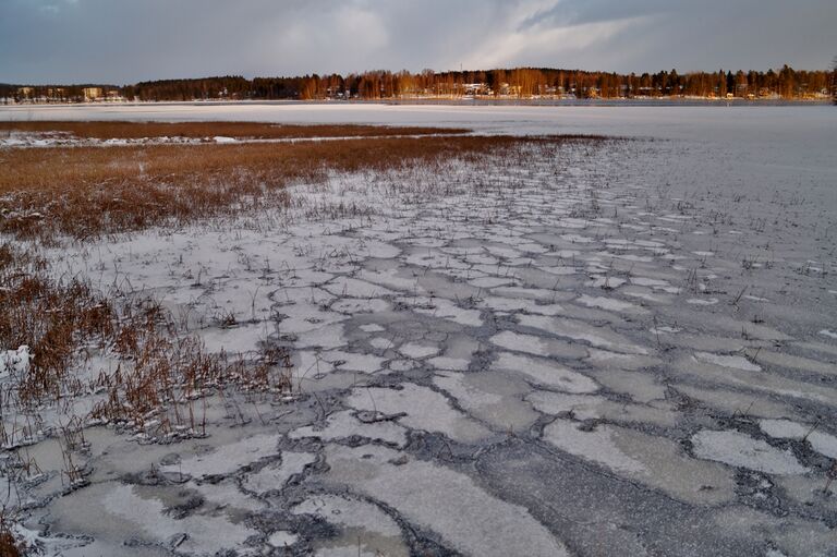 Palokkajärvi (14.291.1.001)-Havaintopaikka 1-ObsICE-201611281827-96.jpg