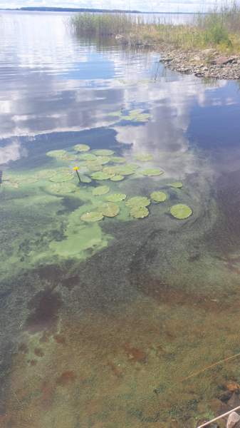 Pyhäselkä (Saimaa) (04.321.1.001)-Mulonranta-ObsIMG-202606271410-6a3fb226361ca.png