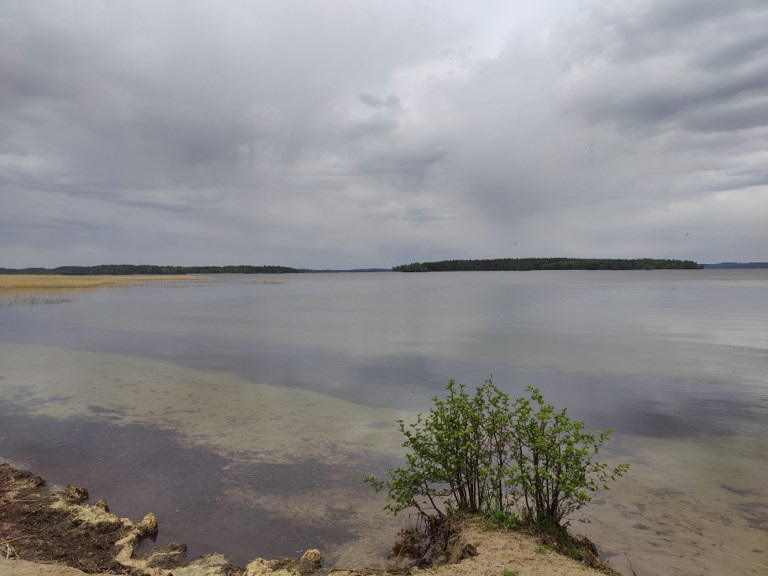 Vesijärvi (14.241.1.001)-Valtakunnallinen sinileväseuranta (Pirppulan uimaranta)-ObsIMG-202205310819-6295a583f1efd.png