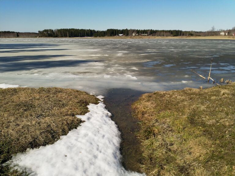 Hulkkianjärvi (11.006.1.014)-Havainnot-ObsIMG-201904201205-94.jpg