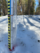 Jerisjoen alaosan alue (67.471)/Havaintopaikka 4