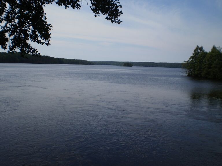 Näkymä Tarhavedelle.JPG