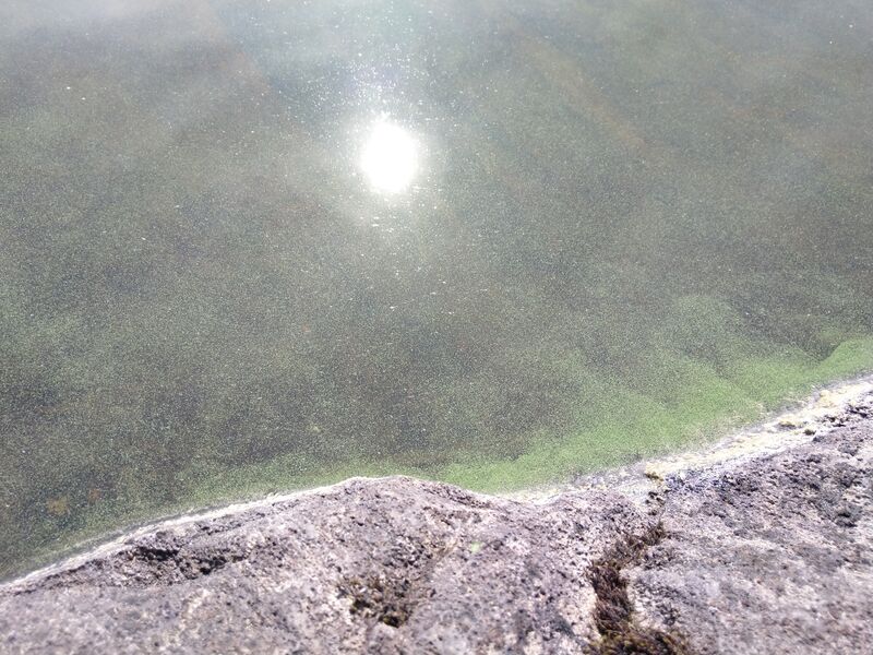 Tiedosto:Näsijärvi (yhd.)-Pallosaaresta eteläinen-ObsIMG-201806261409-53.jpg