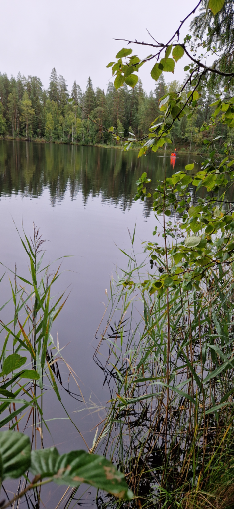 Pitkänniemenjärvi (35.787.1.045)-Johtajatulet 2023-ObsIMG-202508311025-1756625428441.png