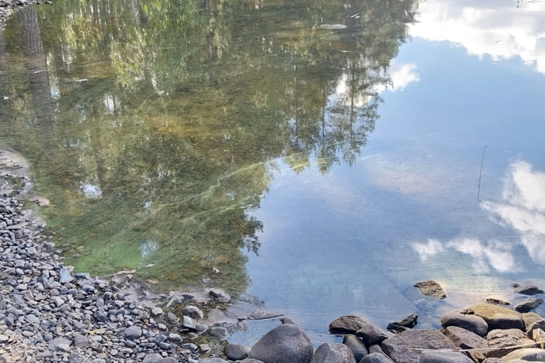 Suvasvesi (04.273.1.001)-Yksityinen ranta-ObsALG-202508141341-689dbdd993ec7.png