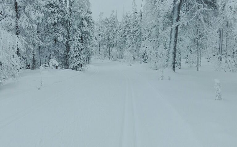 Vaiskojoen valuma-alue (65.747)-Torvinen-ObsIMG-201612040133-16.jpg