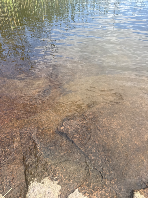 Ahvenkoskenlahti-Rotarien sinileväseuranta (Östernäs)-ObsALG-202506221615-1750598389981.png