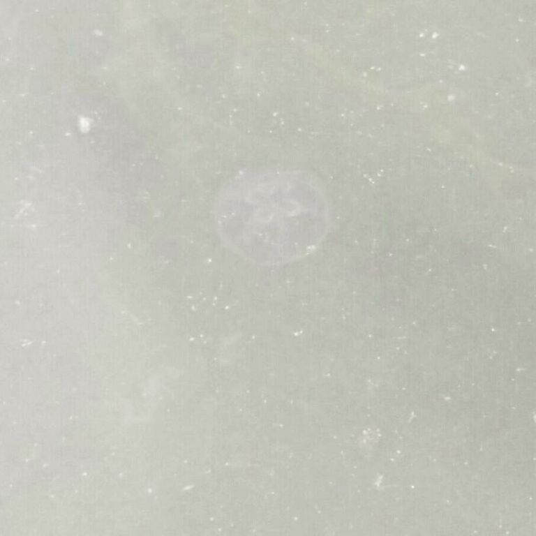 Loviisa-Porvoo-Äggskär -ObsIMG-201708192137-70.jpg