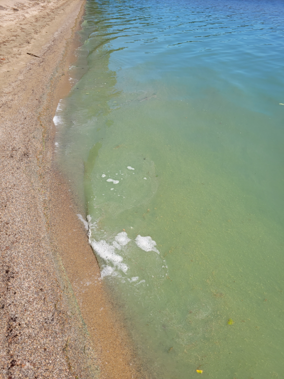 Pyhäjärvi (04.391.1.001)-Havaintopaikka 4-ObsIMG-202206241403-62b59af592061.png