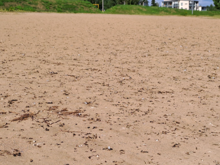 Raahen edusta-Valtakunnallinen sinileväseuranta (Pikkulahti, uimaranta)-ObsTRASH-202508191545-1755609721730.png