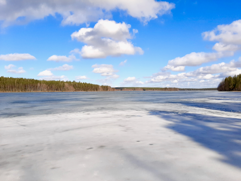 Tiedosto:Sääksjärvi (23.097.1.002)-Sääksjärvi-ObsICE-202603261230-1774545776098.png