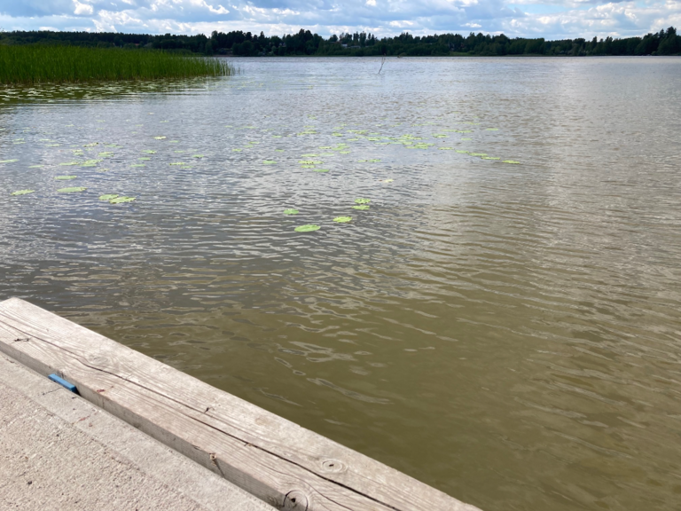 Tuusulanjärvi (21.082.1.001)-Rotarien sinileväseuranta (Kotuntien laituri)-ObsIMG-202206211550-62b1c00509ac0.png