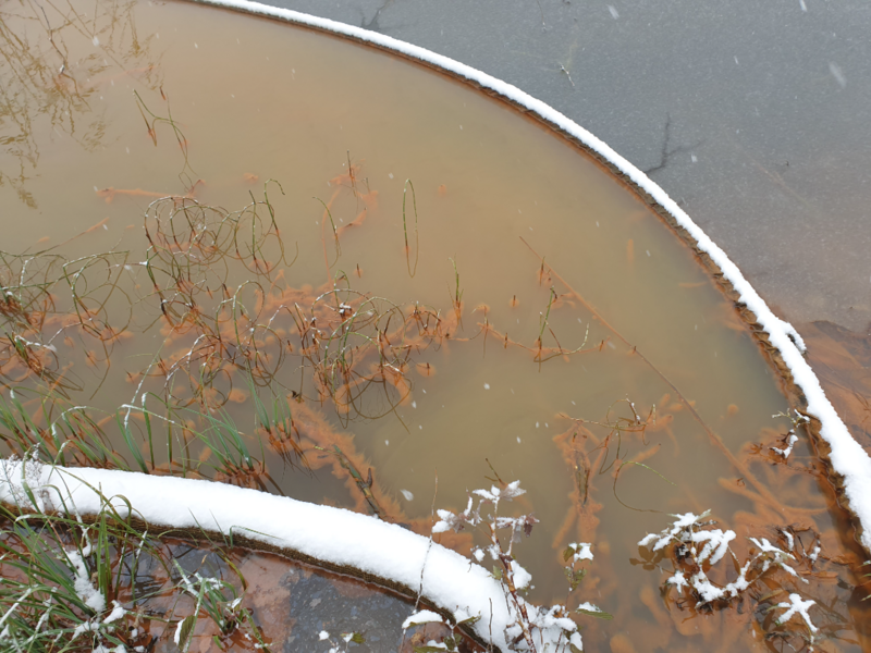 Tiedosto:Urpolanlampi (04.152.1.001)-Uusi hulevesiputki-ObsIMG-202310281134-6542ae1668744.png