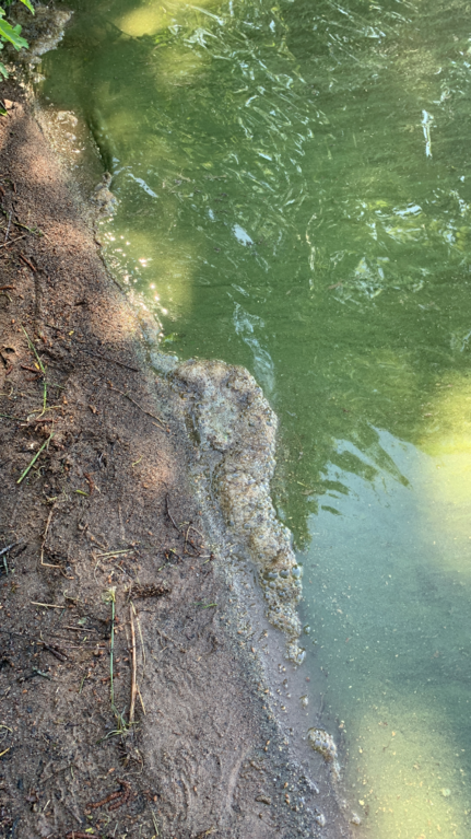 Valkeinen (14.628.1.002)-Valkeinen-ObsIMG-202507030636-6865fbf524c82.png