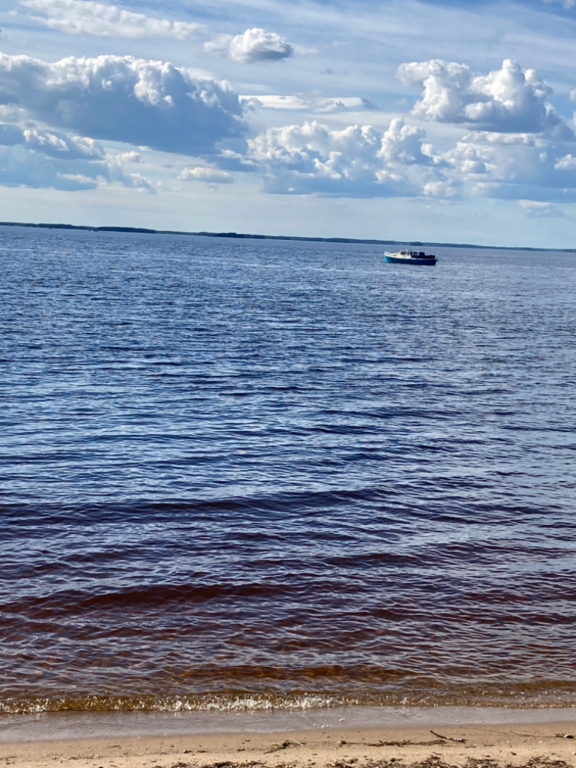 Lappajärvi (47.031.1.001)-Valtakunnallinen sinileväseuranta (Lakaniemi)-ObsIMG-202206211728-62b1d5dc47f92.png