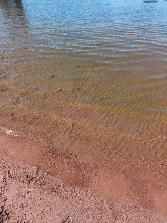 Pyhäjärvi (34.031.1.001)-Valtakunnallinen sinileväseuranta (Katismaan uimaranta)-ObsALG-202406251448-667aaec26a0b9.png