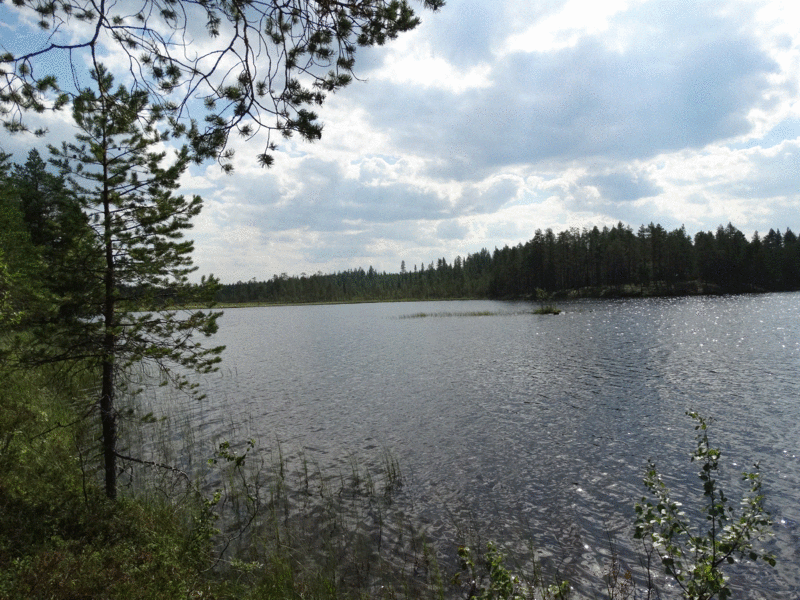 Tiedosto:Säynäjäluoma 1.gif