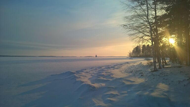 WP 20160116 14 00 09 Pro.jpg