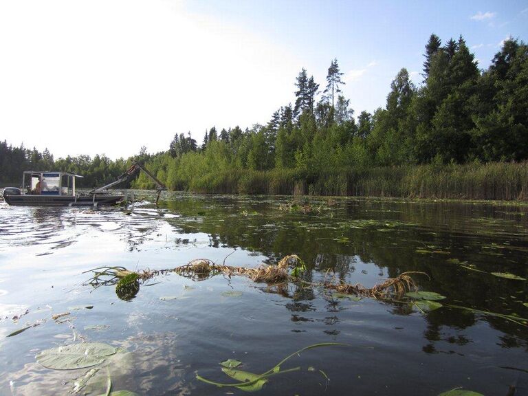 20130805 Valkjärvi 004.jpg