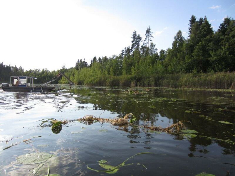 Tiedosto:20130805 Valkjärvi 004.jpg